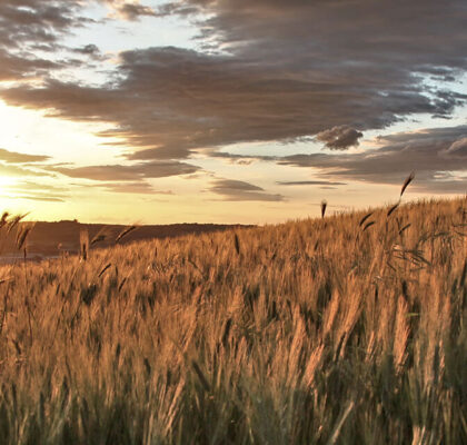 header-itinerario-entroterra